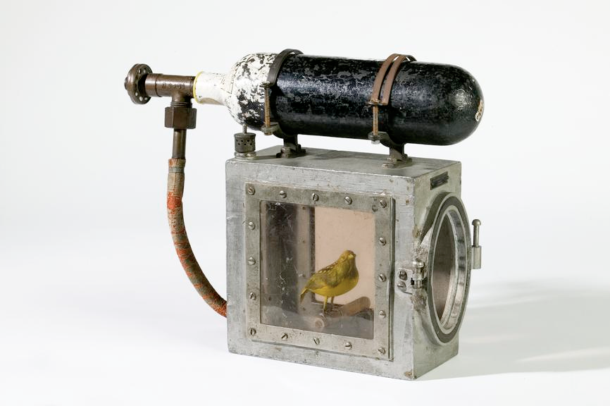 Canary in an air-tight box – with an oxygen tank on the top