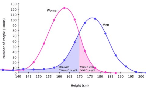 An image from the Bang Personal Training blog post “It's complicated: sex differences and exercise”